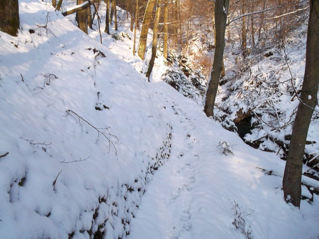 DHW0104.JPG